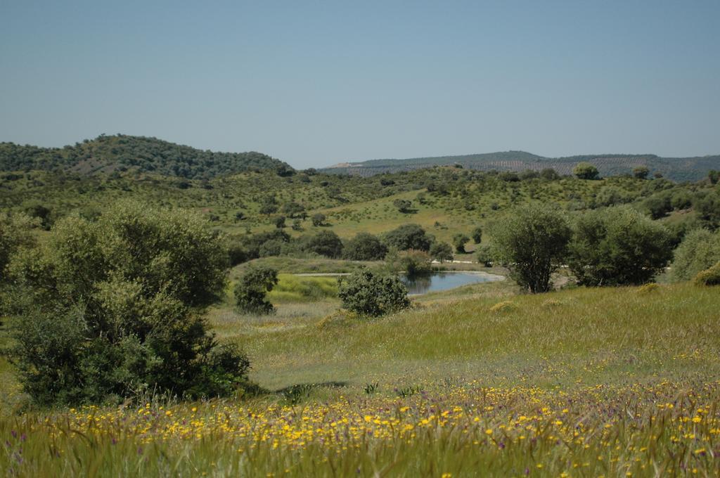 Albergue Rural De Fuente Agria Hostel Villafranca de Córdoba Buitenkant foto